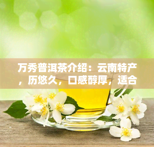 万秀普洱茶介绍：云南特产，历悠久，口感醇厚，适合多种场合饮用。