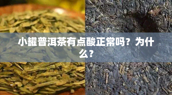 小罐普洱茶有点酸正常吗？为什么？