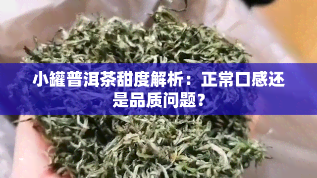 小罐普洱茶甜度解析：正常口感还是品质问题？