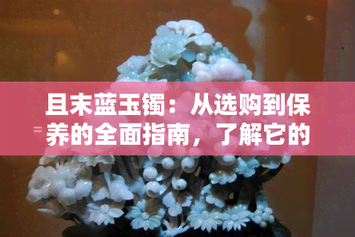 且末蓝玉镯：从选购到保养的全面指南，了解它的魅力与价值