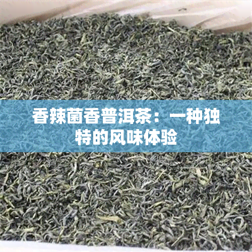 香辣菌香普洱茶：一种独特的风味体验