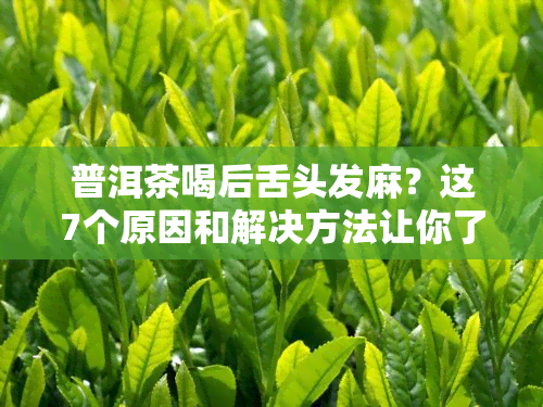 普洱茶喝后舌头发麻？这7个原因和解决方法让你了解真相！