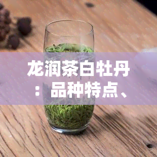 龙润茶白牡丹：品种特点、口感评价与泡法指南，一文全面了解这款优质茶叶