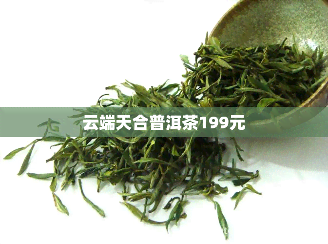 云端天合普洱茶199元