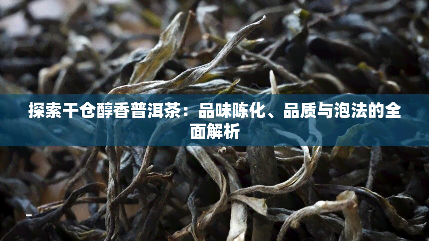 探索干仓醇香普洱茶：品味陈化、品质与泡法的全面解析