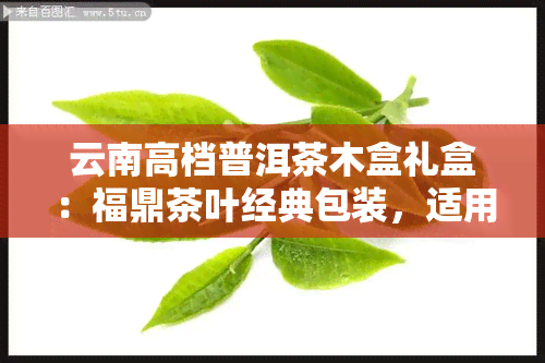 云南高档普洱茶木盒礼盒：福鼎茶叶经典包装，适用于茶礼和收纳