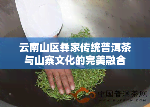 云南山区彝家传统普洱茶与山寨文化的完美融合