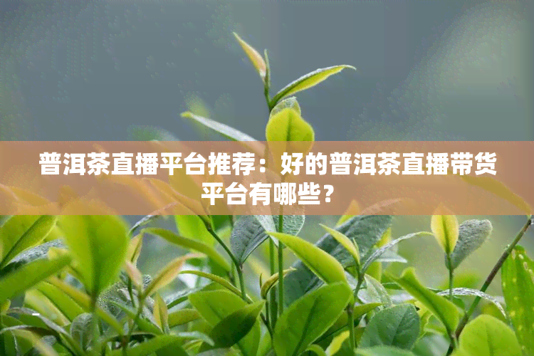 普洱茶直播平台推荐：好的普洱茶直播带货平台有哪些？