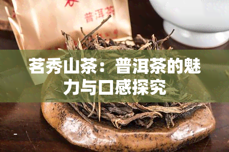 茗秀山茶：普洱茶的魅力与口感探究