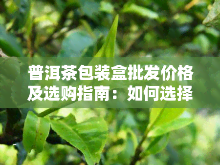 普洱茶包装盒批发价格及选购指南：如何选择适合您的普洱茶礼盒？