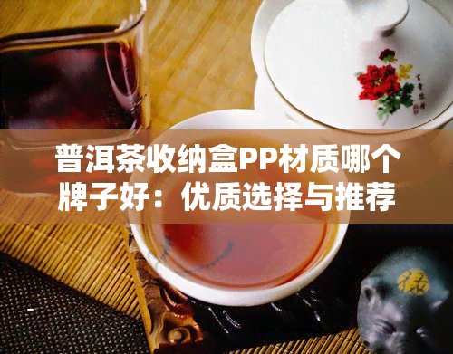 普洱茶收纳盒PP材质哪个牌子好：优质选择与推荐