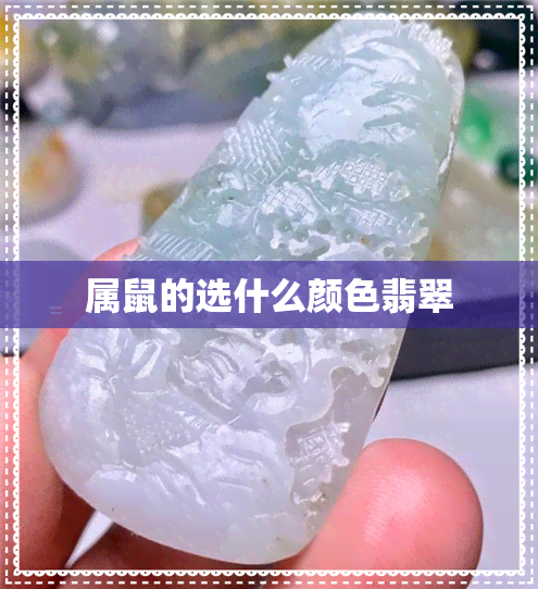 属鼠的选什么颜色翡翠