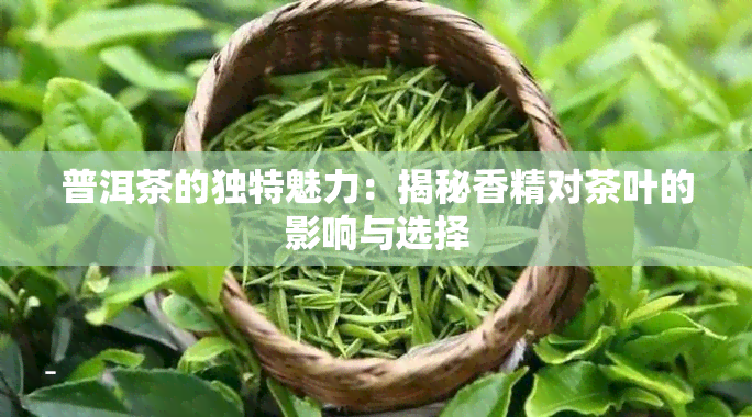 普洱茶的独特魅力：揭秘香精对茶叶的影响与选择