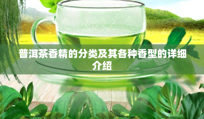 普洱茶香精的分类及其各种香型的详细介绍