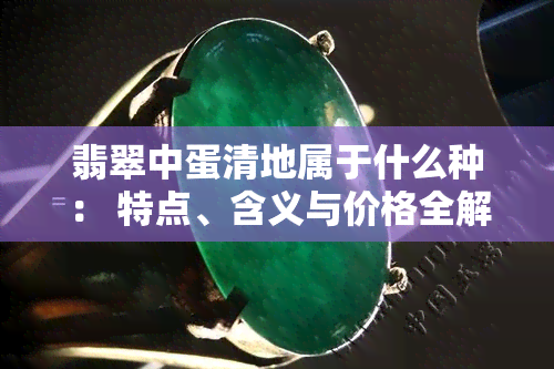 翡翠中蛋清地属于什么种： 特点、含义与价格全解析 - 手镯照片