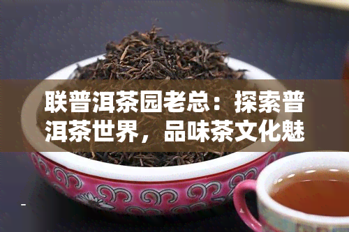 联普洱茶园老总：探索普洱茶世界，品味茶文化魅力