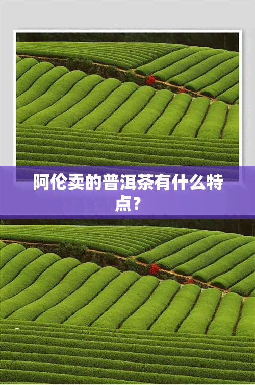 阿伦卖的普洱茶有什么特点？