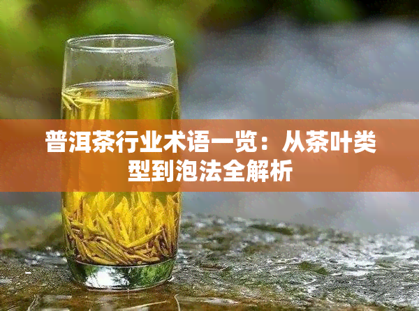 普洱茶行业术语一览：从茶叶类型到泡法全解析