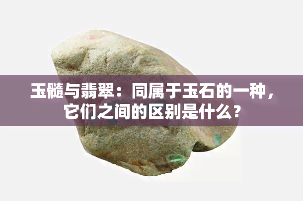 玉髓与翡翠：同属于玉石的一种，它们之间的区别是什么？