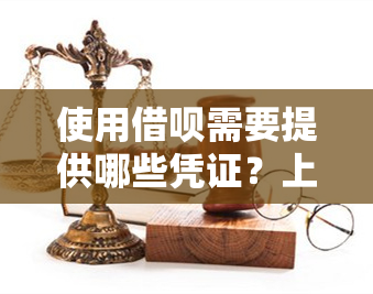 使用借呗需要提供哪些凭证？上传凭证的步骤和要求详解