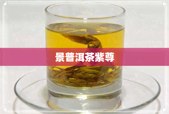 景普洱茶紫尊