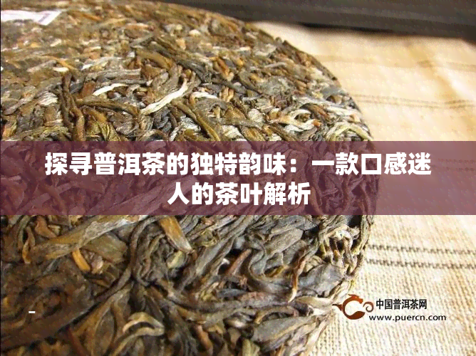 探寻普洱茶的独特韵味：一款口感迷人的茶叶解析