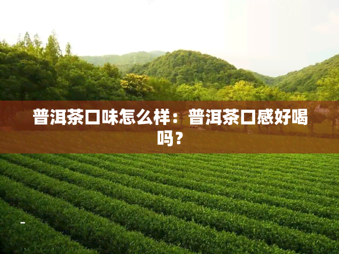 普洱茶口味怎么样：普洱茶口感好喝吗？