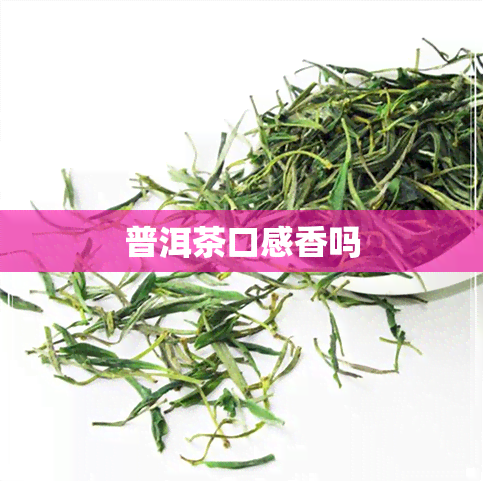 普洱茶口感香吗