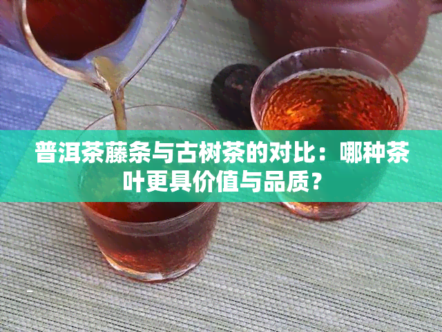 普洱茶藤条与古树茶的对比：哪种茶叶更具价值与品质？