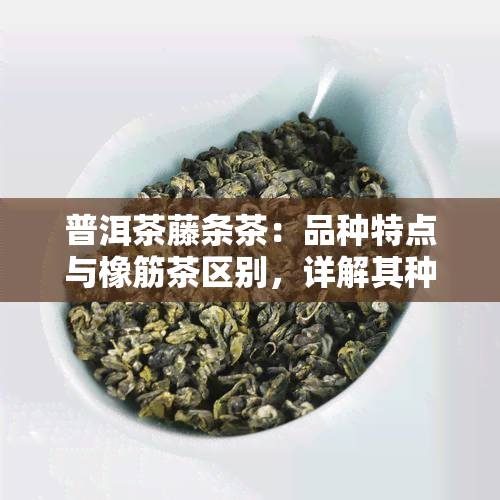 普洱茶藤条茶：品种特点与橡筋茶区别，详解其种类及特色。