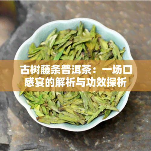 古树藤条普洱茶：一场口感宴的解析与功效探析