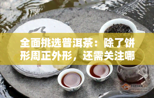 全面挑选普洱茶：除了饼形周正外形，还需关注哪些因素以确保好茶品质？