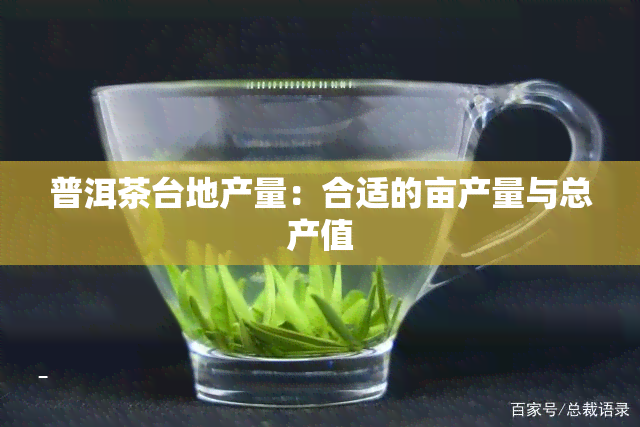 普洱茶台地产量：合适的亩产量与总产值