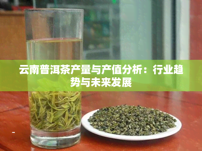 云南普洱茶产量与产值分析：行业趋势与未来发展