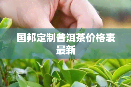 国邦定制普洱茶价格表最新