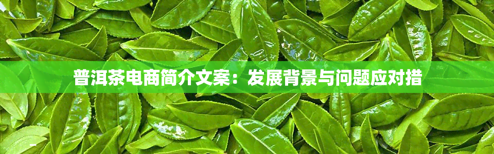 普洱茶电商简介文案：发展背景与问题应对措