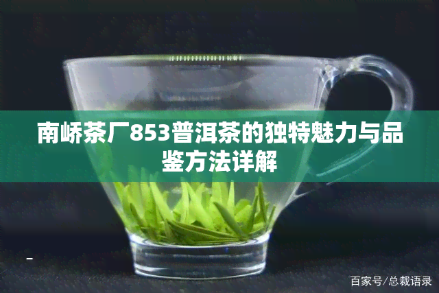 南峤茶厂853普洱茶的独特魅力与品鉴方法详解