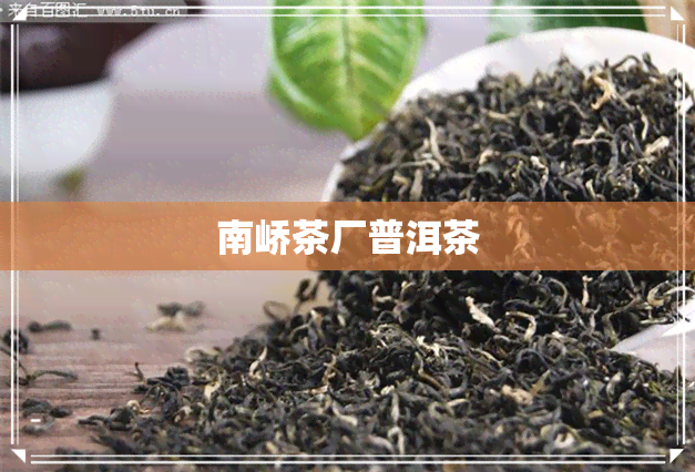 南峤茶厂普洱茶