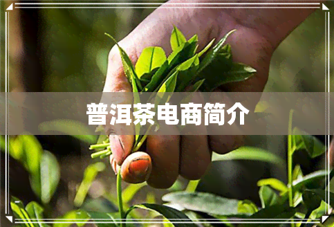 普洱茶电商简介