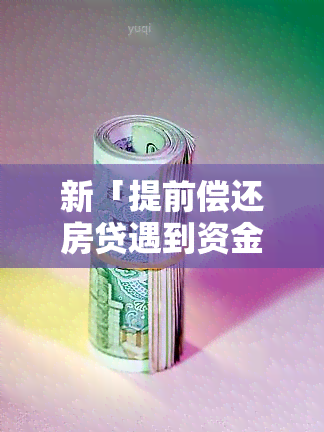 新「提前偿还房贷遇到资金困境：怎么办？」