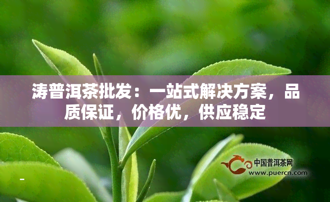 涛普洱茶批发：一站式解决方案，品质保证，价格优，供应稳定