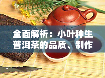 全面解析：小叶种生普洱茶的品质、制作工艺与品饮技巧