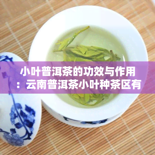 小叶普洱茶的功效与作用：云南普洱茶小叶种茶区有哪些？