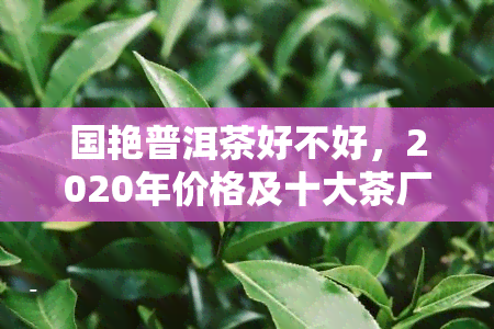 国艳普洱茶好不好，2020年价格及十大茶厂信息，云南官网全解析