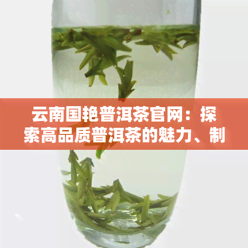 云南国艳普洱茶官网：探索高品质普洱茶的魅力、制作工艺与收藏价值