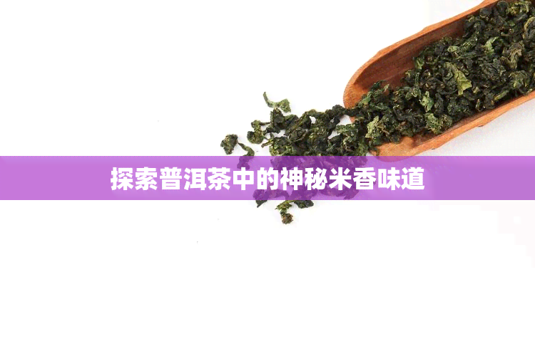 探索普洱茶中的神秘米香味道