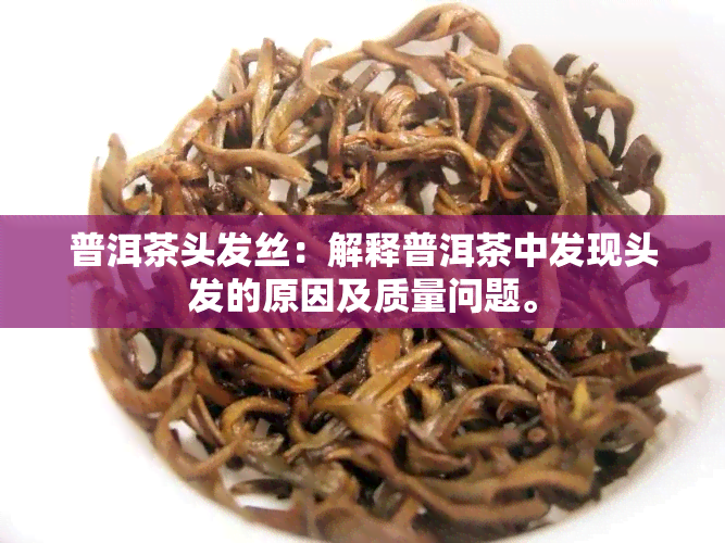 普洱茶头发丝：解释普洱茶中发现头发的原因及质量问题。