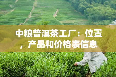 中粮普洱茶工厂：位置，产品和价格表信息