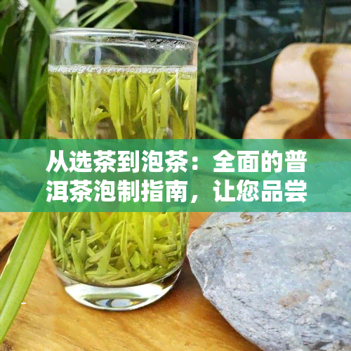 从选茶到泡茶：全面的普洱茶泡制指南，让您品尝到口感