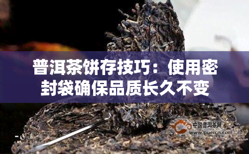 普洱茶饼存技巧：使用密封袋确保品质长久不变